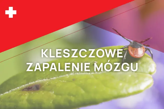 Pakiet szczepień Kleszczowe zapalenie mózgu