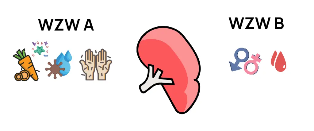 Jak przenosi się WZW A i WZW B w Armenii