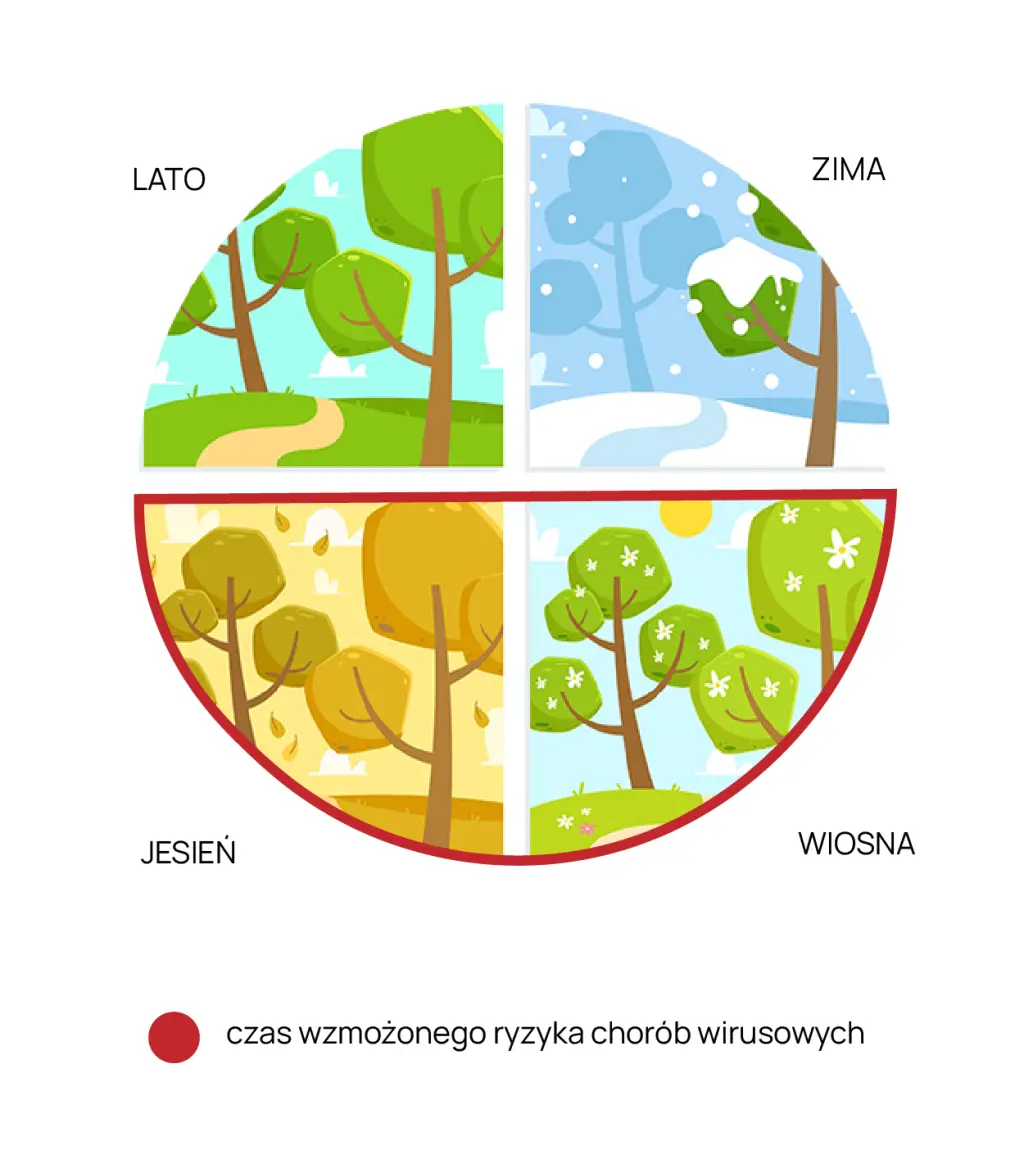 Ryzyko chorob wirusowych w Macedonii