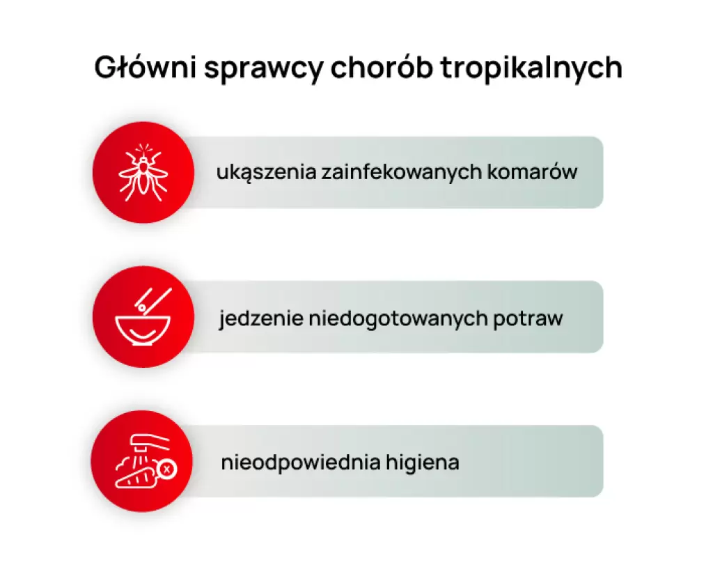 Trzy główne przyczyny chorób tropikalnych: komary, zła higiena i niedogotowane potrawy