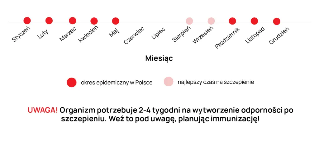 Optymalny czas szczepienia na RSV w Polsce