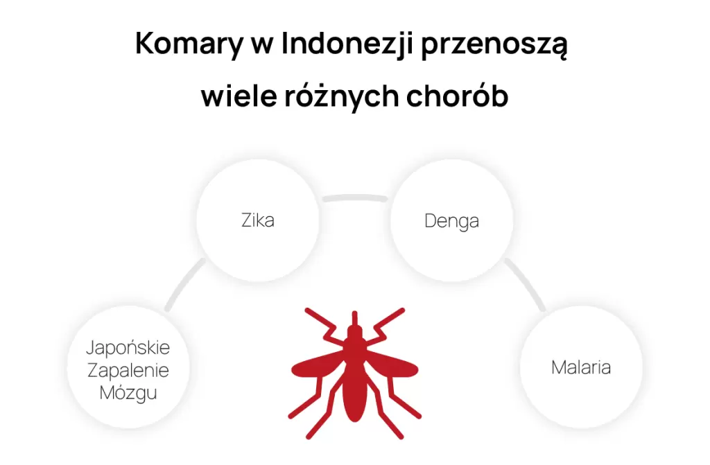 Choroby przenoszone przez komary w Indonezji