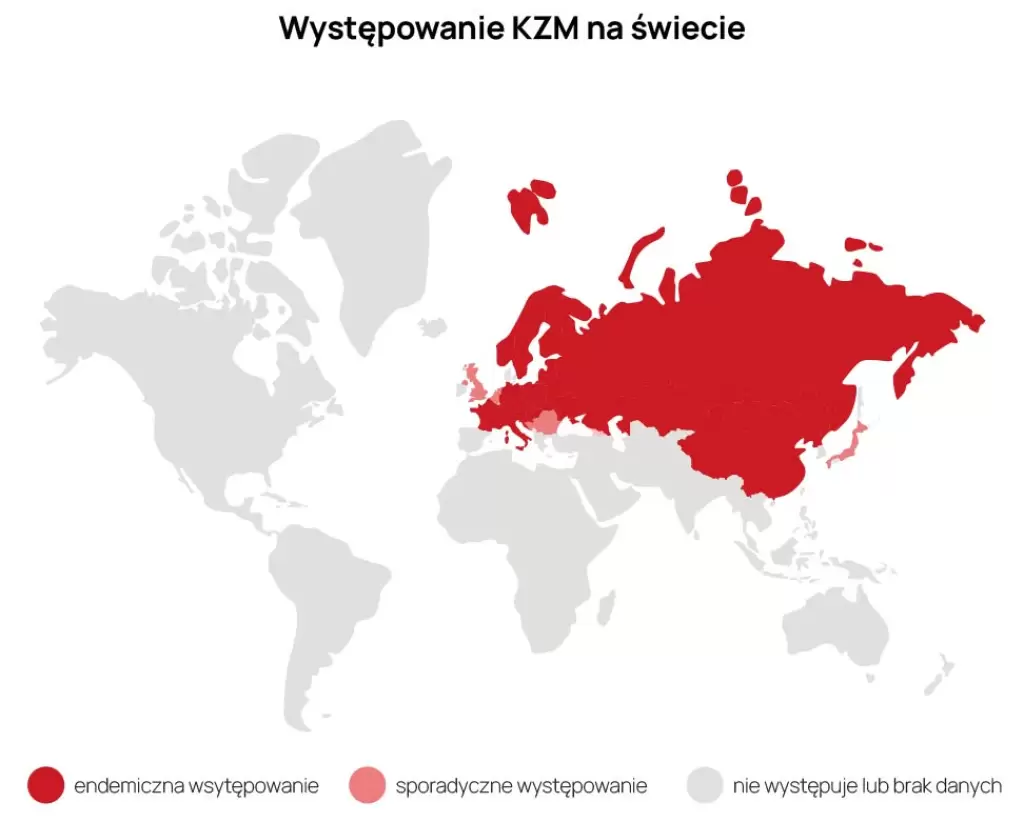 Mapa świata przedstawiająca kraje zagrożone KZM