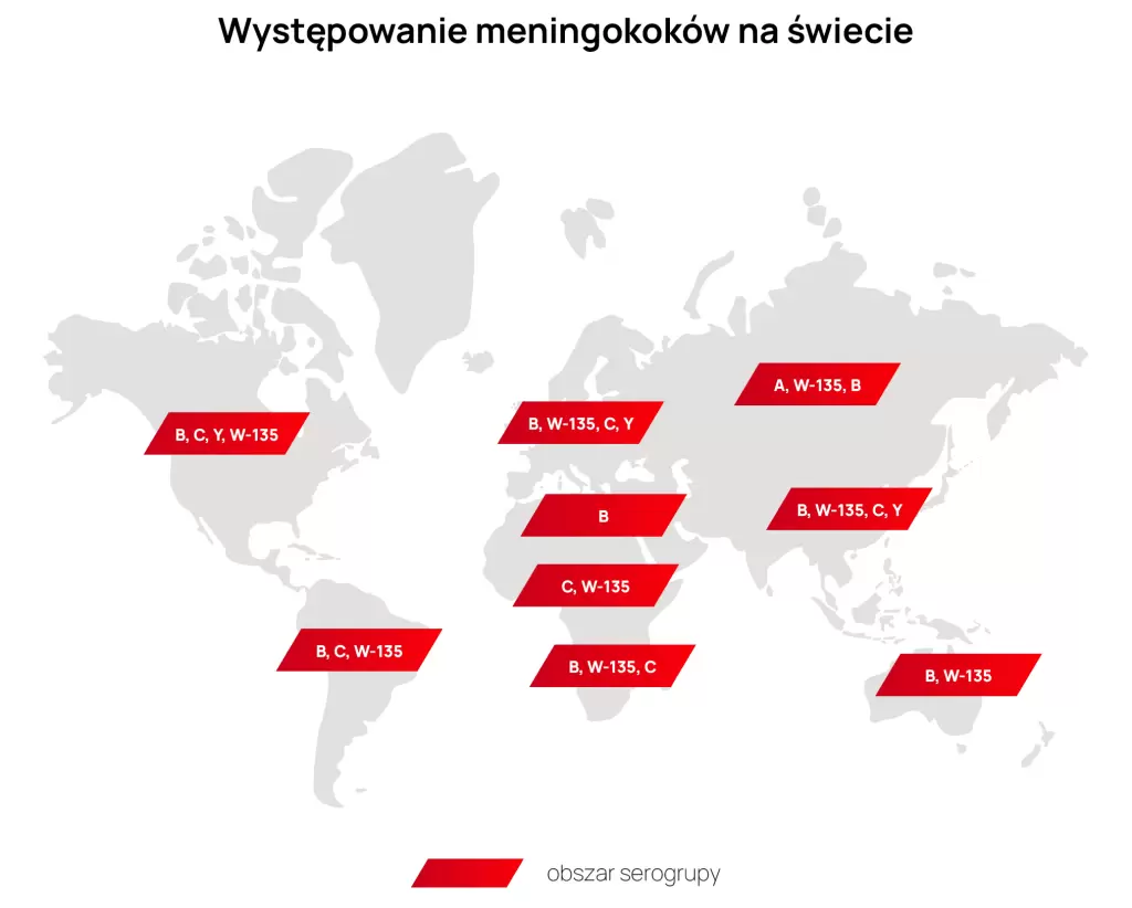 Mapa: typy meningokoków w poszczególnych zakątkach świata