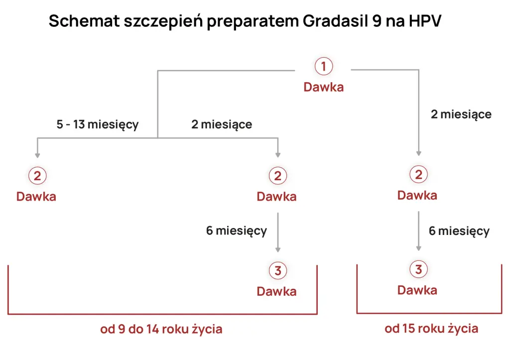 Schemat szczepienia HPV