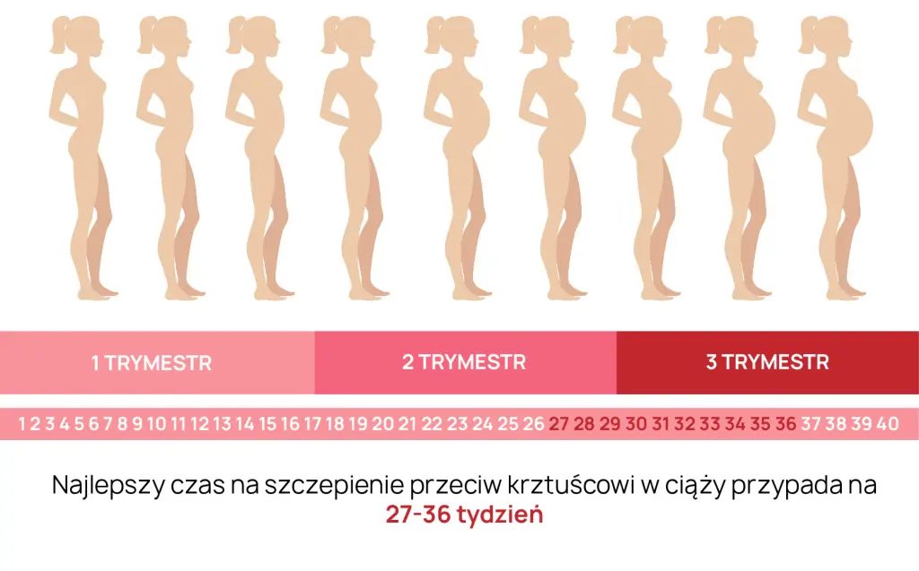 Szczepienie na krztusiec w ciąży