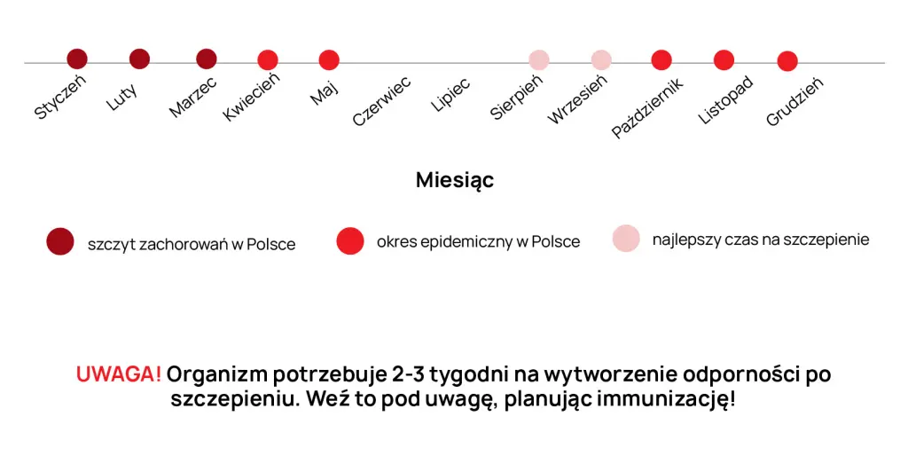 Optymalny czas szczepienia na grypę