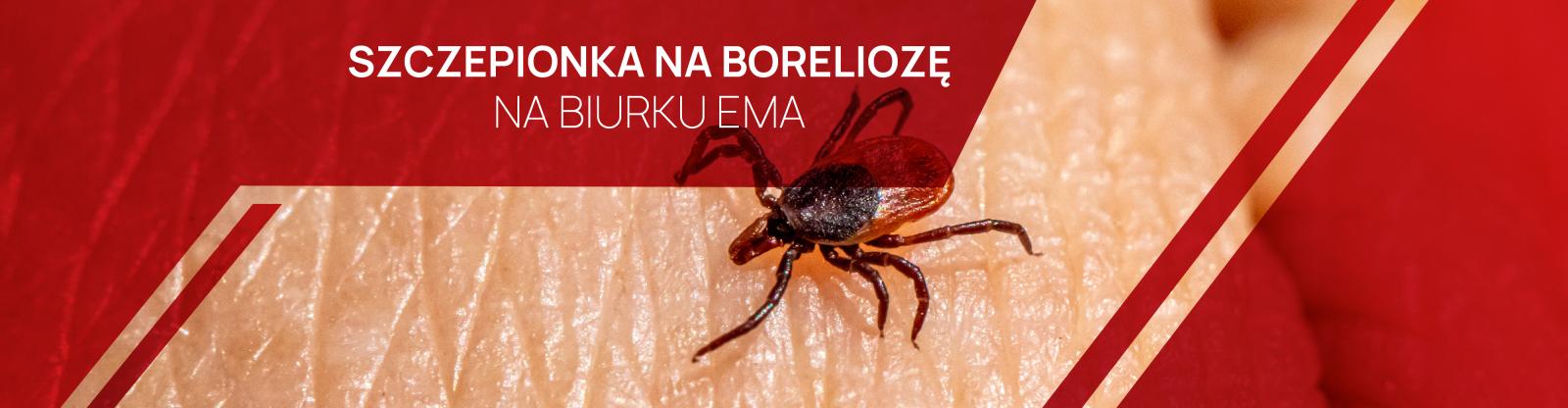 Is there a vaccine for Lyme disease for humans?