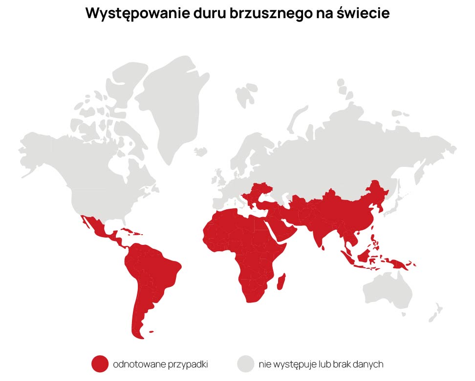 Mapa przedstawiająca występowanie duru brzusznego na świecie